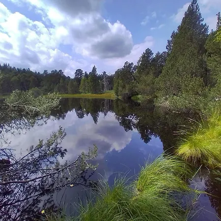 Vilami Apartamento *